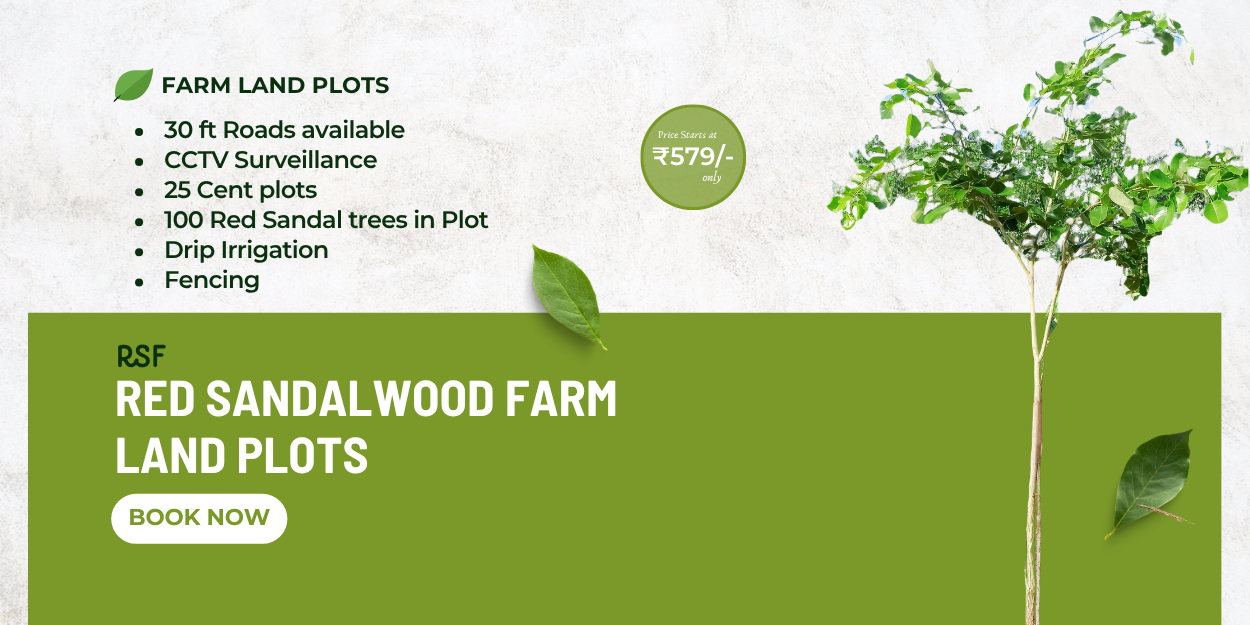 Red Sandalwood Farm Land Plots(1)