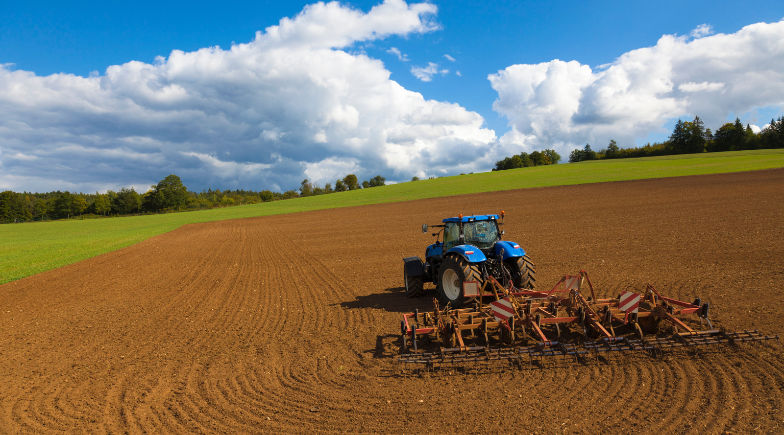 Plotting & Land Development